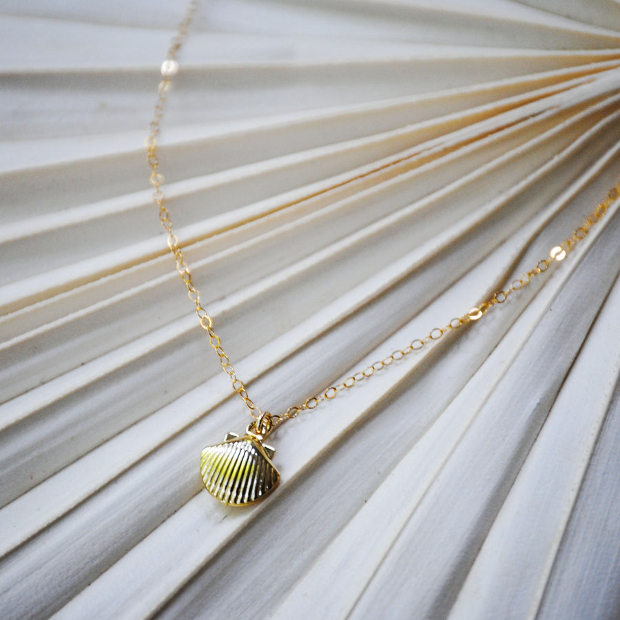 Dainty Seashell Necklace