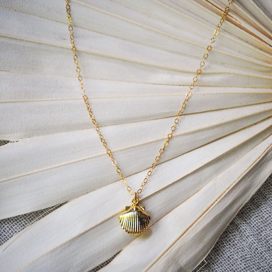 Dainty Seashell Necklace